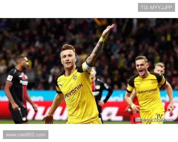 德甲赛事全面导航平台实时比分赛程分析指南