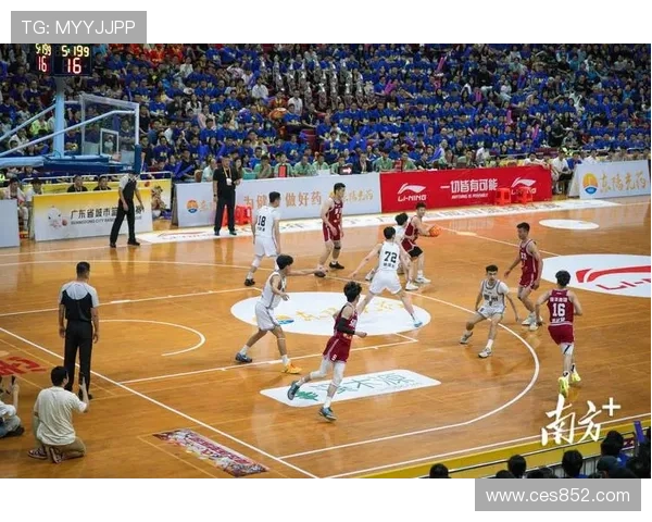 2026年最新体育赛事资讯排行分析 各大赛事关注度与热度一览 - 副本 (3)